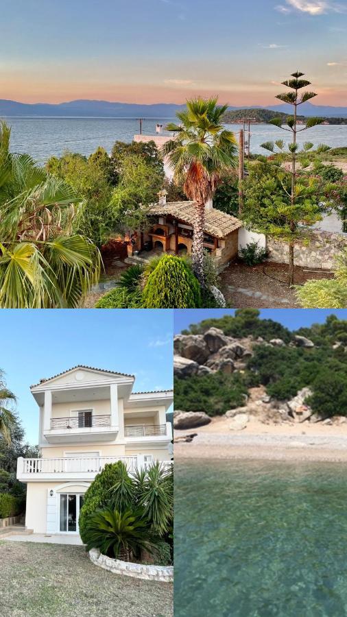 Villa Sul Mare Chalkida Luaran gambar